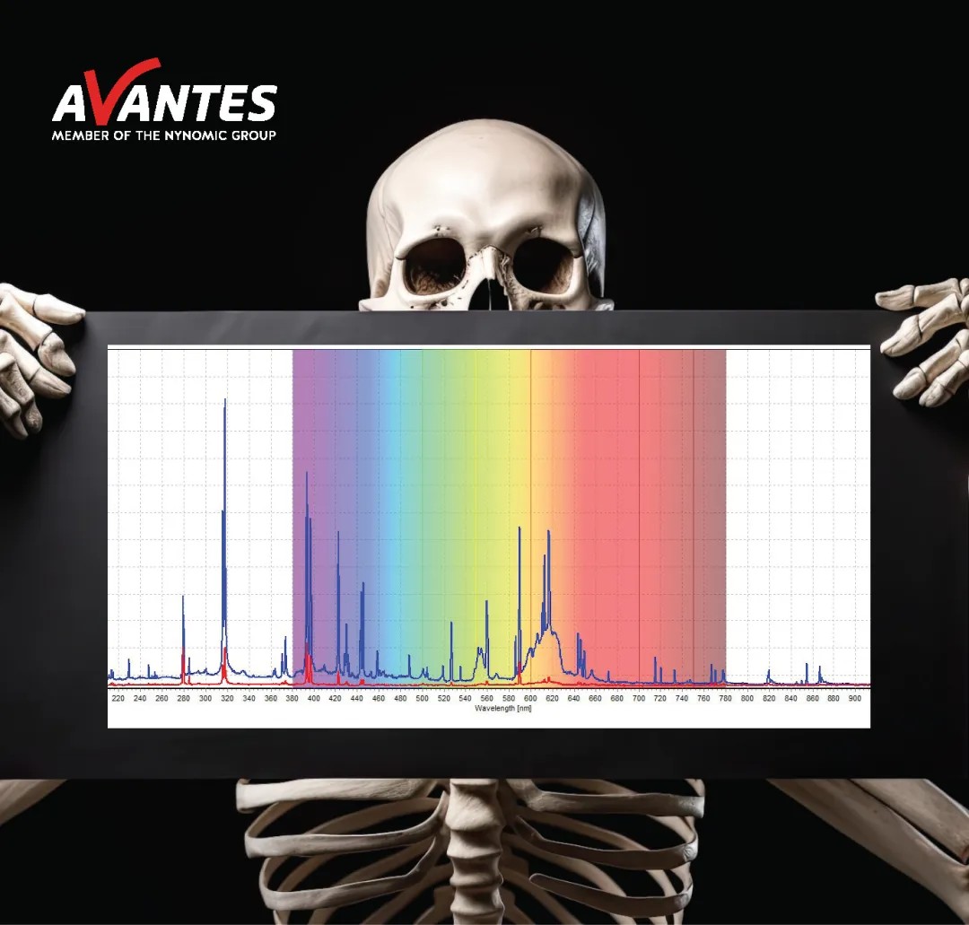 LIBS技術測量骨骼的光譜
